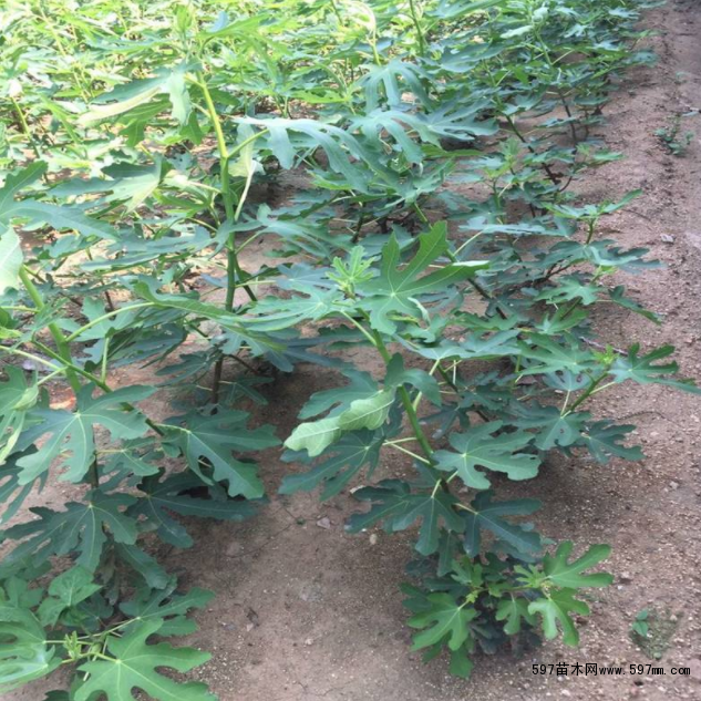 �o������