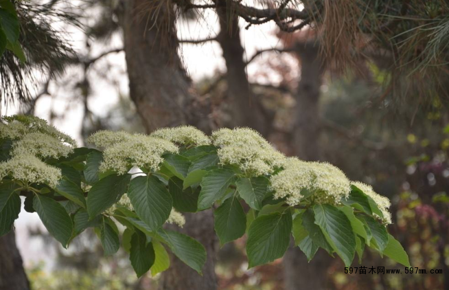 ���_(t��i)��(sh��)