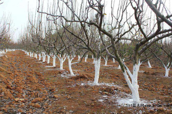 ��ľԽ������ע�����(xi��ng)