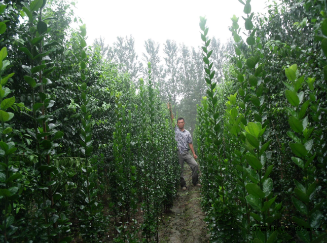 �������S��