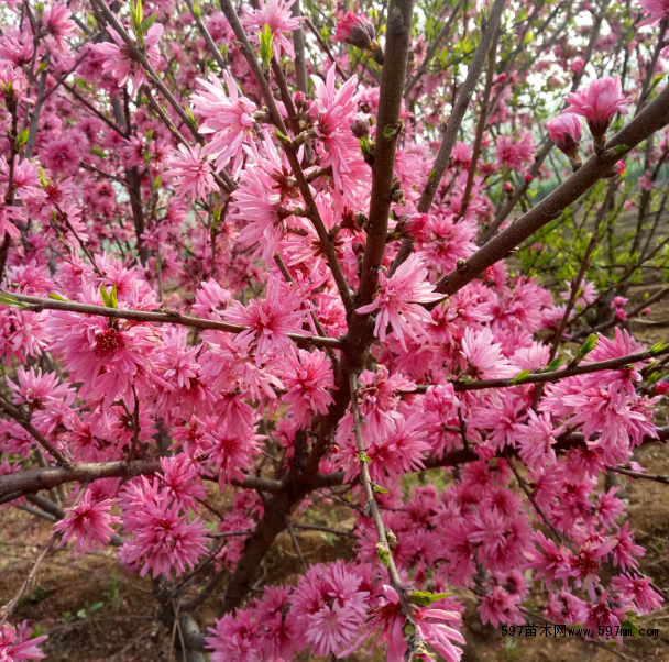 �t�~����