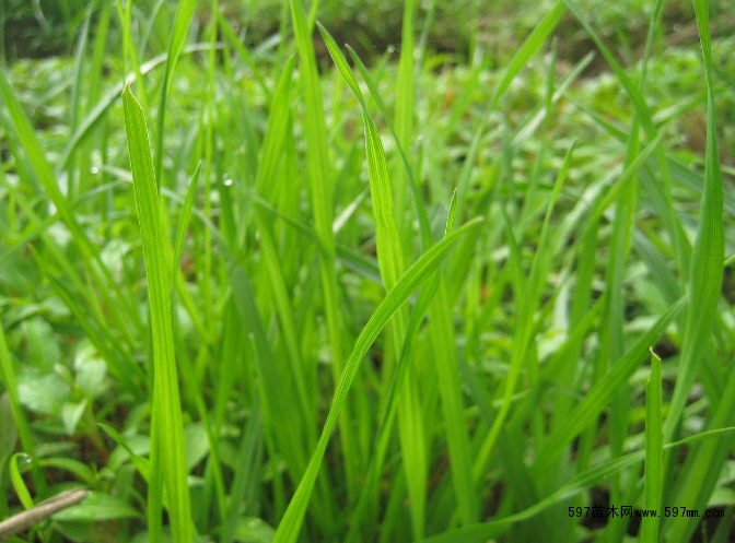 �_(t��i)����