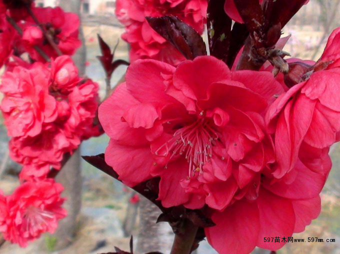 �t�~����