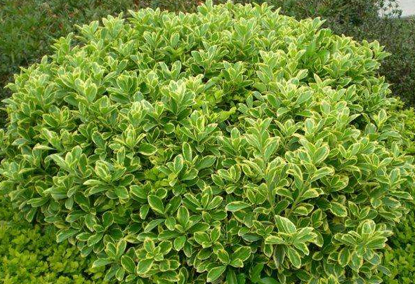 ��߅�S������