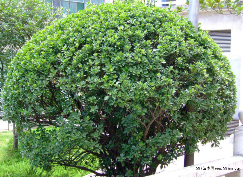 �z�|�l(w��i)ì