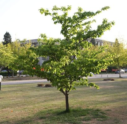 ���_(t��i)��(sh��)