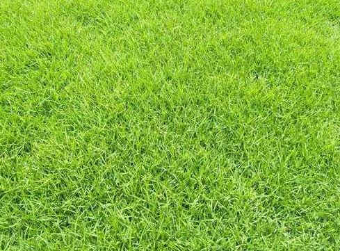 �_(t��i)����