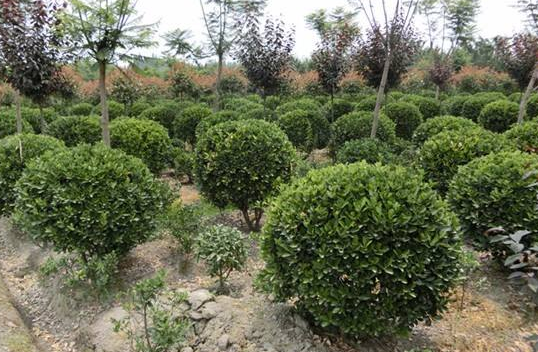 ���~�S��