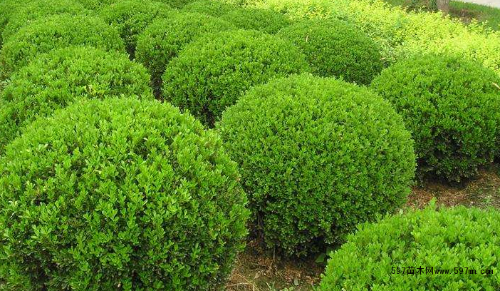 ���~�S��