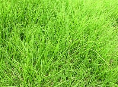 �_(t��i)����