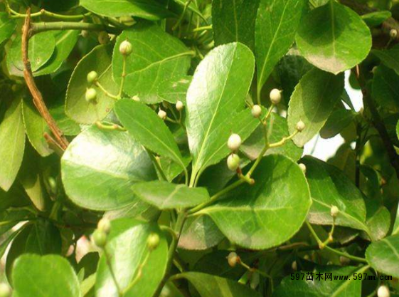 ���~�S��