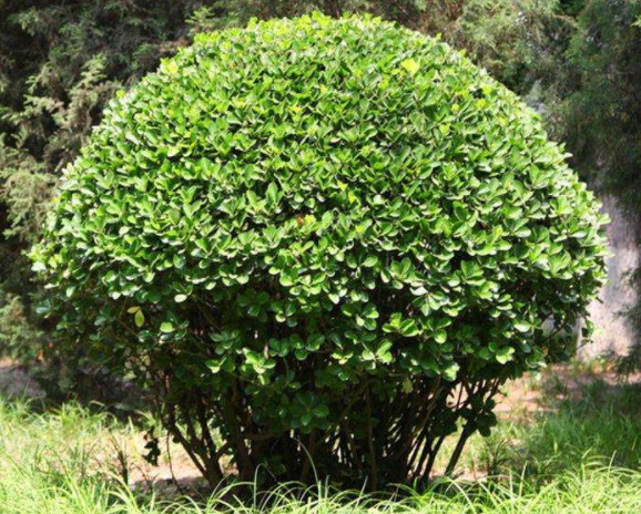 ���~�S����