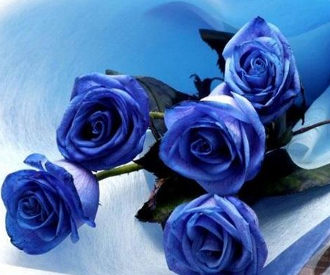 �{(l��n)õ��