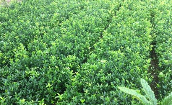 ���~�S��