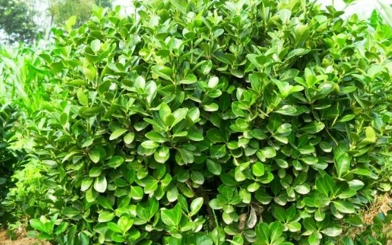 ���~�S����