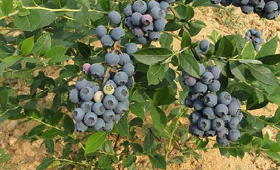 �{(l��n)ݮ��