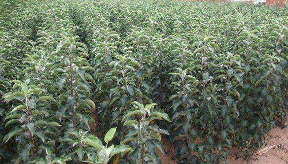 �t���O����